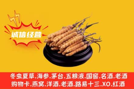 运城市回收冬虫夏草